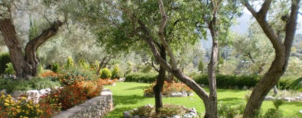 Alpujarras Orgiva Pueblo 28724