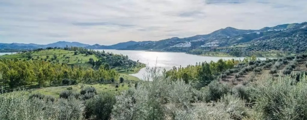 Viñuela Embalse Casitas 28558