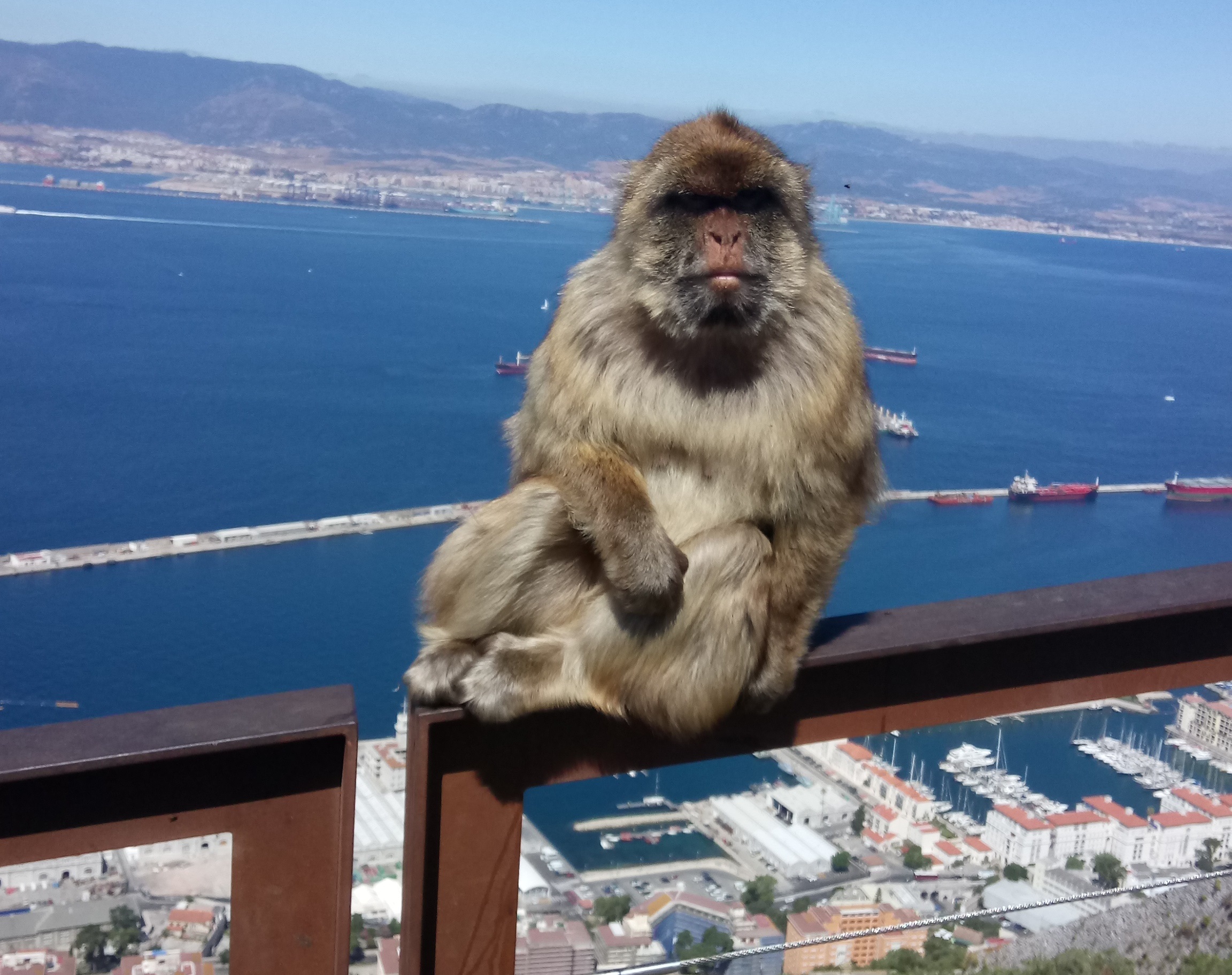 Como evitar las aglomeraciones de turistas en Gibraltar?