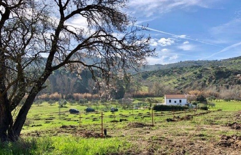 Hermosa casa de campo en enclave idílico para 8 personas a las afueras del pueblo blanco de Olvera