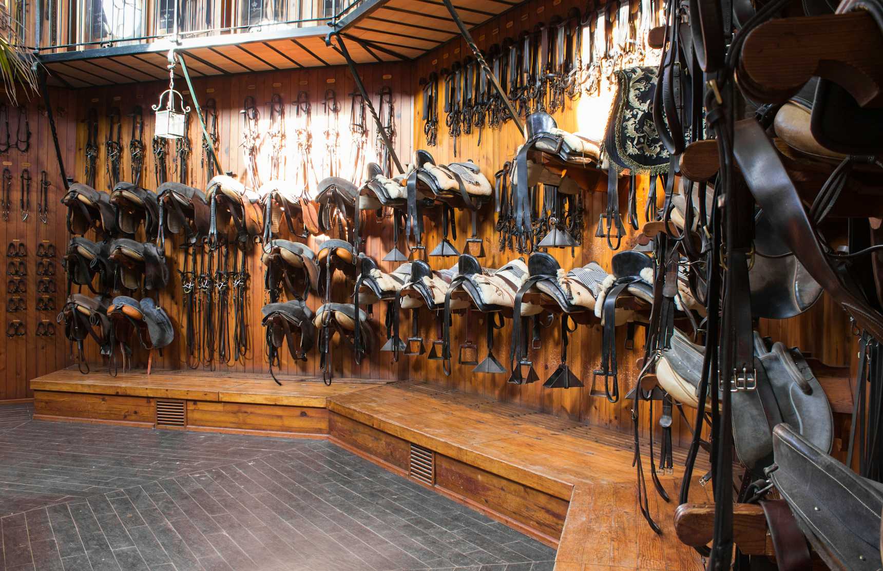 Real Escuela Andaluza del Arte Ecuestre, Jerez de la Frontera